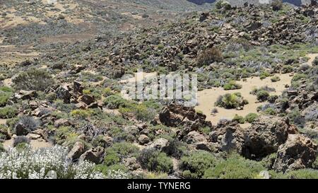 Ruvida landscpae vulcanico sul vulcano teide tenerife Foto Stock