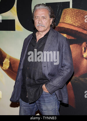 Edward James Olmos arriva sul tappeto rosso alla premiere mondiale di '2 pistole' alla SVA Theater di New York il 29 luglio 2013. UPI/John Angelillo Foto Stock