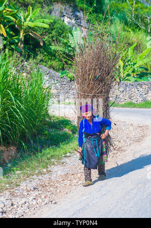 L'agricoltore vietnamita in un countrside vicino Ha Giang Vietnam Foto Stock