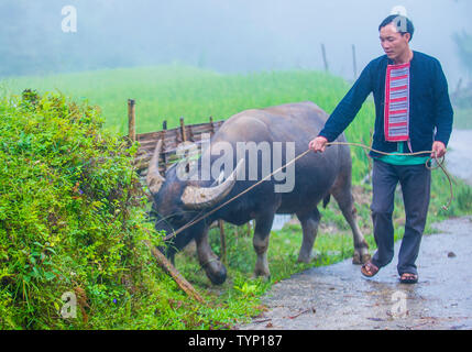 L uomo dalla Red Dao in minoranza in un villaggio vicino a Ha Giang in Vietnam Foto Stock