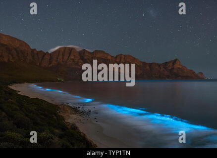 Il fitoplancton bioluminescente illuminare l'oceano lungo la costa a Kogelberg Riserva della Biosfera vicino a Cape Town, Sud Africa. Foto Stock