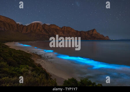 Il fitoplancton bioluminescente illuminare l'oceano lungo la costa a Kogelberg Riserva della Biosfera vicino a Cape Town, Sud Africa. Foto Stock