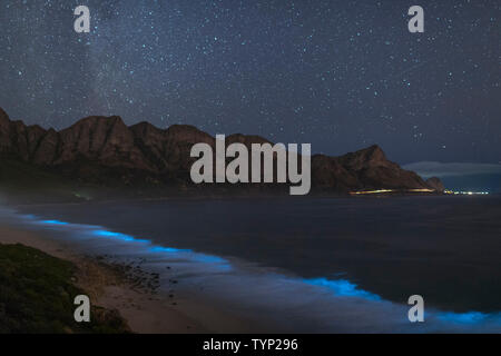 Il fitoplancton bioluminescente illuminare l'oceano lungo la costa a Kogelberg Riserva della Biosfera vicino a Cape Town, Sud Africa. Foto Stock