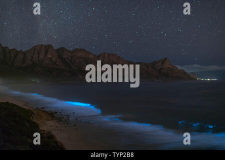 Il fitoplancton bioluminescente illuminare l'oceano lungo la costa a Kogelberg Riserva della Biosfera vicino a Cape Town, Sud Africa. Foto Stock