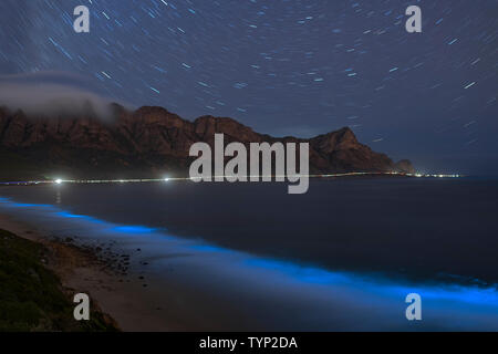 Il fitoplancton bioluminescente illuminare l'oceano lungo la costa a Kogelberg Riserva della Biosfera vicino a Cape Town, Sud Africa. Foto Stock