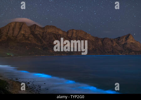 Il fitoplancton bioluminescente illuminare l'oceano lungo la costa a Kogelberg Riserva della Biosfera vicino a Cape Town, Sud Africa. Foto Stock