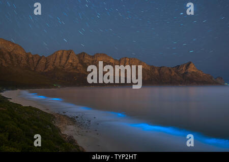 Il fitoplancton bioluminescente illuminare l'oceano lungo la costa a Kogelberg Riserva della Biosfera vicino a Cape Town, Sud Africa. Foto Stock