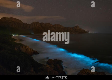 Il fitoplancton bioluminescente illuminare l'oceano lungo la costa a Kogelberg Riserva della Biosfera vicino a Cape Town, Sud Africa. Foto Stock