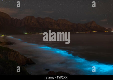 Il fitoplancton bioluminescente illuminare l'oceano lungo la costa a Kogelberg Riserva della Biosfera vicino a Cape Town, Sud Africa. Foto Stock