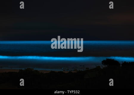 Il fitoplancton bioluminescente illuminare l'oceano lungo la costa a Kogelberg Riserva della Biosfera vicino a Cape Town, Sud Africa. Foto Stock