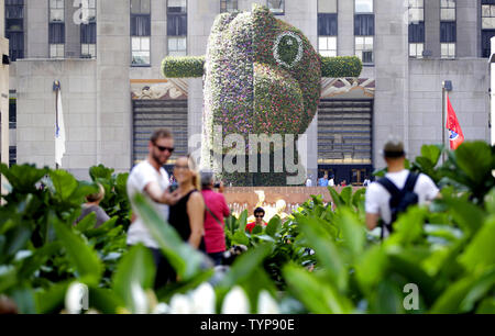 Un uomo e una donna prendere un selfie pic in piedi vicino Split-Rocker dall artista Jeff Koons sul display al Rockefeller Center di New York City il 3 luglio 2014. Split-Rocker è una spettacolare forma piantati che torreggia su 37 piedi alto e dispone di oltre 50.000 piante fiorite. La torreggiante versione vegetale sarà al Rockefeller Center attraverso il 12 settembre. UPI/John Angelillo Foto Stock