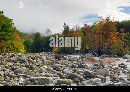 Il fogliame di autunno lungo il ramo orientale del fiume Pemigewasset a Lincoln, New Hampshire, dopo un paio di giorni di pioggia durante i mesi autunnali. Foto Stock