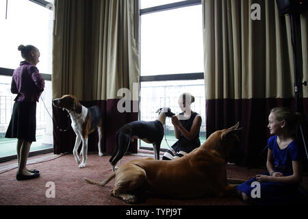 Espositori speciale fede Rogers sta con un American Foxhound denominato Bobby, Sophia Rogers si siede con Erik il Whippet ed Emma Rogers si siede con gioia il Grande Dane in occasione di una conferenza stampa a poche settimane prima della annuale 139a Westminster Kennel Club Dog Show in New York City il 21 gennaio 2015. Il primo spettacolo di Westminster si è tenuta il 8 maggio 1877, il che la rende la seconda più a lungo tenuto continuamente evento sportivo negli Stati Uniti dietro solo il Kentucky Derby, che è stato organizzato per la prima volta nel 1875. Foto di Giovanni Angelillo/UPI Foto Stock