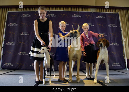 Espositori speciale fede Rogers sta con un American Foxhound denominato Bobby, Sophia Rogers sta con Erik il Whippet ed Emma Rogers sta con gioia il Grande Dane in occasione di una conferenza stampa a poche settimane prima della annuale 139a Westminster Kennel Club Dog Show in New York City il 21 gennaio 2015. Il primo spettacolo di Westminster si è tenuta il 8 maggio 1877, il che la rende la seconda più a lungo tenuto continuamente evento sportivo negli Stati Uniti dietro solo il Kentucky Derby, che è stato organizzato per la prima volta nel 1875. Foto di Giovanni Angelillo/UPI Foto Stock