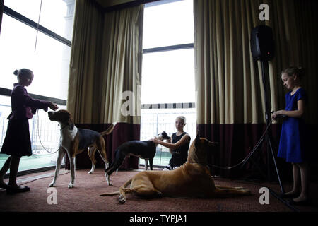 Espositori speciale fede Rogers sta con un American Foxhound denominato Bobby, Sophia Rogers si siede con Erik il Whippet ed Emma Rogers si siede con gioia il Grande Dane in occasione di una conferenza stampa a poche settimane prima della annuale 139a Westminster Kennel Club Dog Show in New York City il 21 gennaio 2015. Il primo spettacolo di Westminster si è tenuta il 8 maggio 1877, il che la rende la seconda più a lungo tenuto continuamente evento sportivo negli Stati Uniti dietro solo il Kentucky Derby, che è stato organizzato per la prima volta nel 1875. Foto di Giovanni Angelillo/UPI Foto Stock