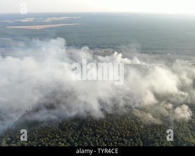 Ziltendorf, Germania. 26 giu 2019. Fumo di un incendio si innalza al di sopra della foresta tra Wiesenau Ziltendorf e. L'incendio di foresta è scoppiata nel quartiere Oder-Spree. Foto: Toni Feist/dpa-Zentralbild dpa/credito: dpa picture alliance/Alamy Live News Foto Stock