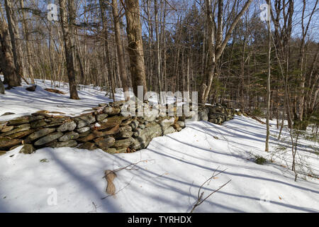 Stonewall vicino alla vecchia di Gedeone Ricker Farm site all'abbandonato Ricker Basin comunità agricole su Ricker Montagna in Waterbury, Vermont. Foto Stock