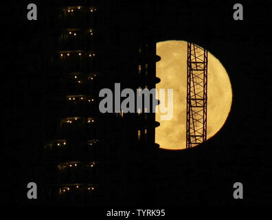 Un set di supermoon dietro un edificio in costruzione in New Jersey oltre il Fiume Hudson appena prima del sorgere del sole a New York City il 14 novembre 2016. La più spettacolare di supermoon dal 1948 illumina il cielo il martedì mattina e sera, apparendo 14 per cento più grandi e 30 percento più luminoso rispetto al solito. Novembre l'supermoon, un termine utilizzato per descrivere una luna piena è al suo perigeo o il più vicino punto di massa durante l'orbita lunare, sarà il più grande e più brillanti supermoon a salire in quasi 69 anni. Una luna piena non venite in questo vicino alla terra ancora fino a nov. 25, 2034. Foto di Giovanni Angelill Foto Stock