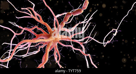 3d reso illustrazione di un essere umano delle cellule nervose Foto Stock