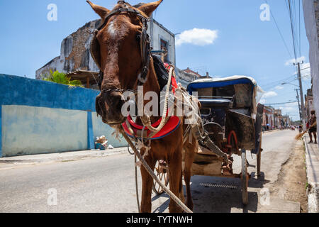 Cardenas, Cuba - 11 Maggio 2018: Carrozza a cavallo per le strade di una vecchia città cubane vicino a Varadero durante una giornata di sole. Foto Stock