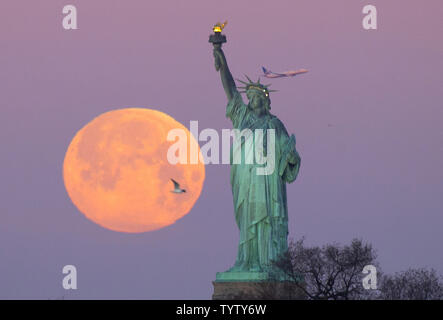 Un Super neve Luna tramonta dietro la statua della Libertà shorty dopo l'alba nel febbraio 19, 2019 a New York City. Il super neve luna è il secondo dei tre eventi supermoon nei primi tre mesi dell'anno -- un ricco calendario lunare per 2019, che segna il cinquantesimo anniversario di Apollo 11, la missione che ha preso il primo uomo sulla luna. Foto di Giovanni Angelillo/UPI Foto Stock