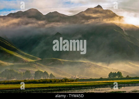 Sanke Gannan prairie Foto Stock