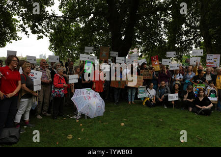 Londra, Regno Unito. Il 26 giugno 2019. Una lobby di massa di MP di tutto il case del Parlamento a Londra, organizzato dalla Coalizione di clima e più ecologici UK, premendo per più urgente e audace azione sul cambiamento climatico. Un folto gruppo di partecipanti con la MP Tracy Brabin. Credito: Joe Kuis / Alamy News Foto Stock