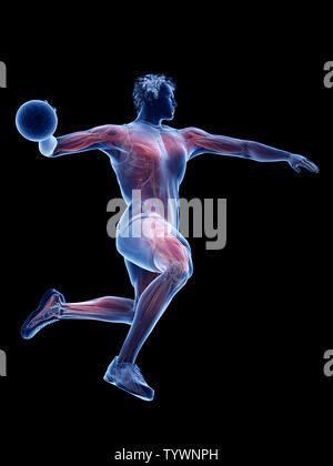 3D Rendering accurato dal punto di vista medico illustrazione dei muscoli di un giocatore di pallamano Foto Stock
