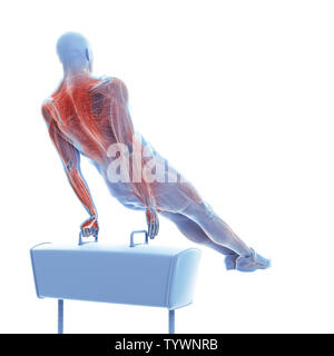 3D Rendering accurato dal punto di vista medico illustrazione del Foto Stock