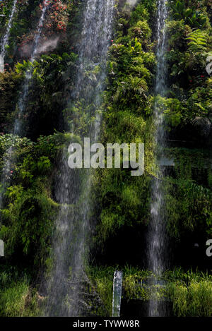 Ottobre 02, 2018: Cloud Forest, giardino botanico con la più alta cascata artificiale nel mondo. Giardini della baia. Singapore Foto Stock