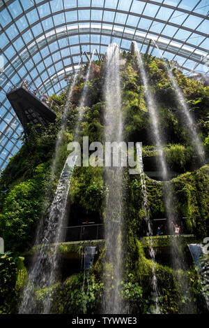 Ottobre 02, 2018: Cloud Forest, giardino botanico con la più alta cascata artificiale nel mondo. Giardini della baia. Singapore Foto Stock