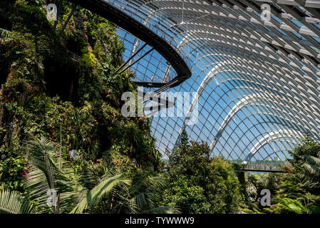 Ottobre 02, 2018: Cloud Forest, giardino botanico con la più alta cascata artificiale nel mondo. Giardini della baia. Singapore Foto Stock