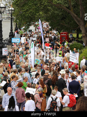 Londra, Regno Unito. Il 26 giugno 2019. Una lobby di massa di MP di tutto il case del Parlamento a Londra, organizzato dalla Coalizione di clima e più ecologici UK, premendo per più urgente e audace azione sul cambiamento climatico. Credito: Joe Kuis / Alamy News Foto Stock
