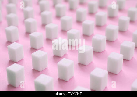 Molti piccoli cubetti di zucchero sono allineate su un sfondo rosa. Il concetto del diabete ed eccesso di zucchero nel sangue Foto Stock