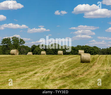 Balle di fieno seduto su una collina pascolo in una giornata di sole con nuvole bianche Foto Stock