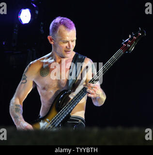 Flea, il cui vero nome è Michael Peter Balzary, suona la chitarra basso mentre si esegue con il Red Hot Chili Peppers in concerto a Bercy a Parigi il 18 ottobre 2011. UPI/David Silpa Foto Stock