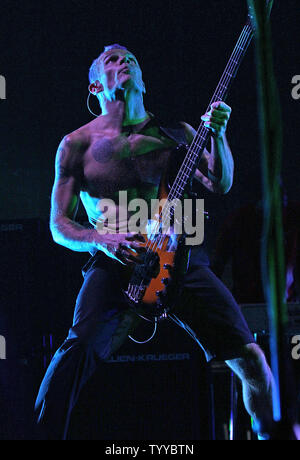 Flea, il cui vero nome è Michael Peter Balzary, suona la chitarra basso mentre si esegue con il Red Hot Chili Peppers in concerto a Bercy a Parigi il 18 ottobre 2011. UPI/David Silpa Foto Stock