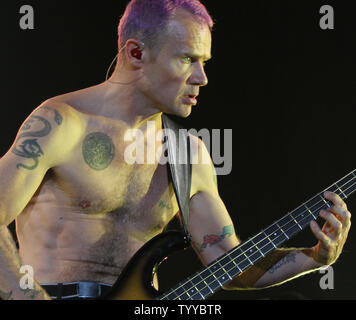 Flea, il cui vero nome è Michael Peter Balzary, suona la chitarra basso mentre si esegue con il Red Hot Chili Peppers in concerto a Bercy a Parigi il 18 ottobre 2011. UPI/David Silpa Foto Stock