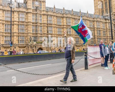 London / UK - 26 Giugno 2019 - Pro-UE protester porta del Galles e Unione europea bandiere al di fuori del parlamento di Westminster Foto Stock