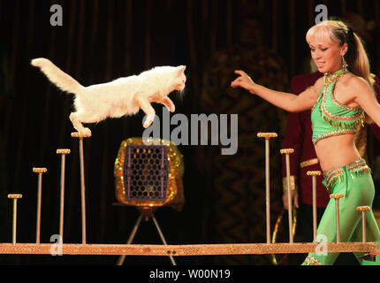 Russo addestratori animali eseguire con i gatti in un circo russo a Pechino il 26 agosto 2009. UPI/Stephen rasoio Foto Stock