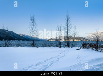 Beautiful winter landscape, snowy mountains. Blue sky. Cold, blue Harrison lake. Deep snow in the foreground. Winter trees in the foreground Foto Stock
