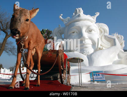 Cinese e i turisti stranieri che visitano la annuale internazionale di ghiaccio e Snow Sculpture Festival di Harbin, la capitale della Cina nord-est della provincia di Heilongjiang, 16 gennaio 2015. Il festival è il più grande del suo genere in tutto il mondo e per mostrare la più grande sculture di neve e ghiaccio in tutto il mondo come bene. Foto di Stefano rasoio/UPI Foto Stock