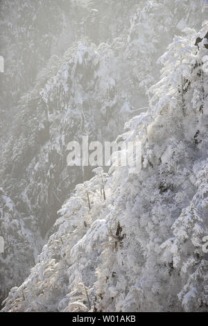 Scena di neve di Huangshan hill in inverno Foto Stock