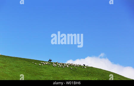 Gannan Sankoh Prairie Dagu Beach Prairie Foto Stock