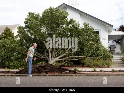 Un proprietario di casa a Ocean City , New Jersey trasporta alcuni detriti dopo l uragano Irene sradicato un albero sul suo cortile anteriore Agosto 28, 2011. La categoria 1storm non hanno danneggiato il Jersey Shore tanto come previsto, tuttavia enormi inondazioni è previsto. UPI/John Anderson Foto Stock