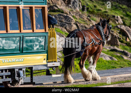 L'iconico cavallo carrello tra Victor Harbor e granite island utilizzando la Causeway in Sud Australia il 26 giugno 2019 Foto Stock