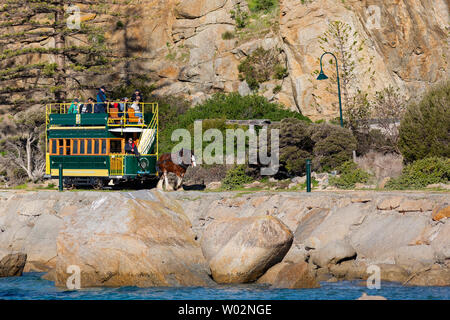 L'iconico cavallo carrello tra Victor Harbor e granite island utilizzando la Causeway in Sud Australia il 26 giugno 2019 Foto Stock