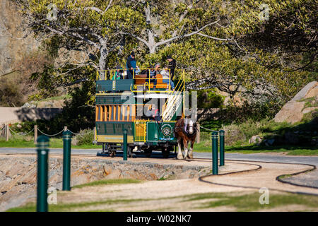 L'iconico cavallo carrello tra Victor Harbor e granite island utilizzando la Causeway in Sud Australia il 26 giugno 2019 Foto Stock