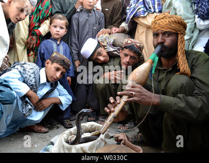 Bambini Watch come un serpente incantatore riproduce il pungi a rendere il serpente 'danza' per la musica su una strada in Chaman, Pakistan vicino al confine in Afghanistan il 9 agosto 2013. I serpenti non è in grado di ascoltare la musica ma non senso il suono e quindi salire dal cestello. UPI/Matiullah Foto Stock