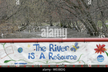 Le acque della recessione del gonfio fiume Woonasquatucket lascia detriti sospesi dal rivestimento di alberi è banche vicino a valle Street a Providence, Rhode Island il 1 aprile 2010. Il fiume allagata dopo due giorni di piogge record e ha provocato danni estesi al settore famiglie e aziende. UPI/Matthew Healey Foto Stock